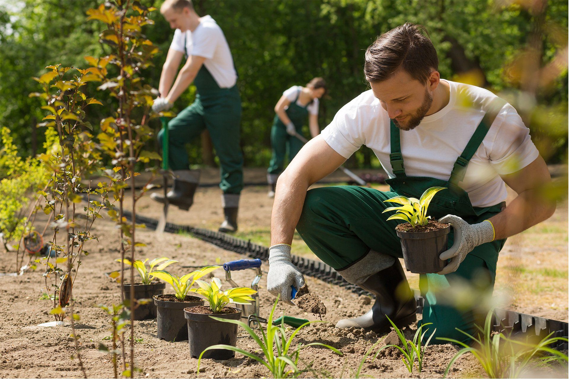 Equipo de jardinería sembrando plantas en un nuevo jardín