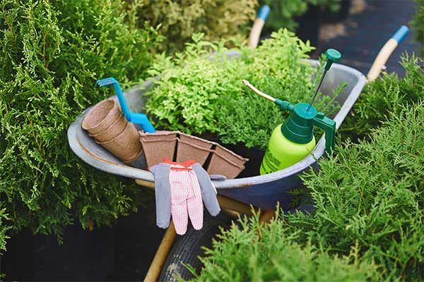 Carretilla con herramientas de jardinería, macetas y plantas