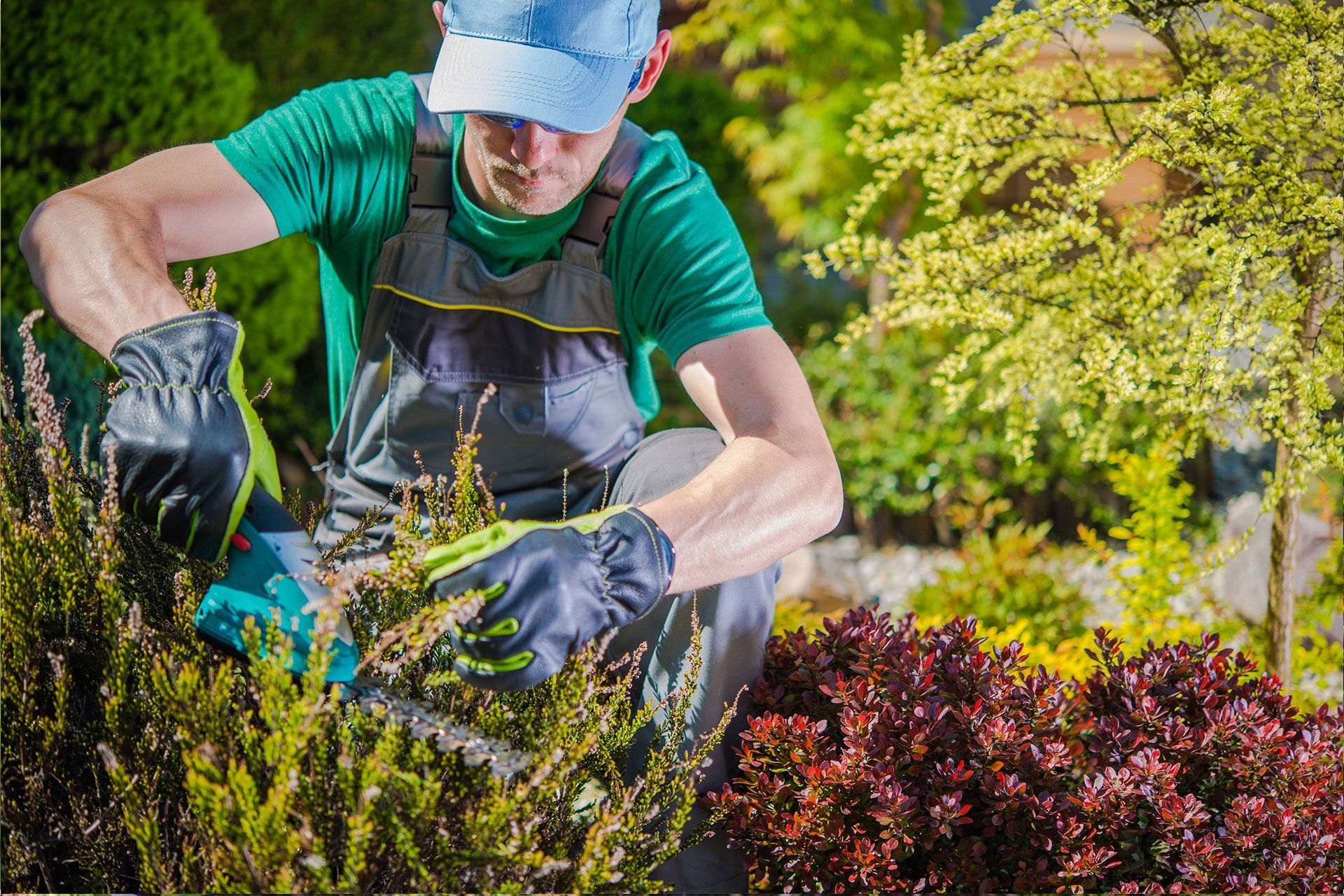 Jardinero revisando y tratando plantas del jardín