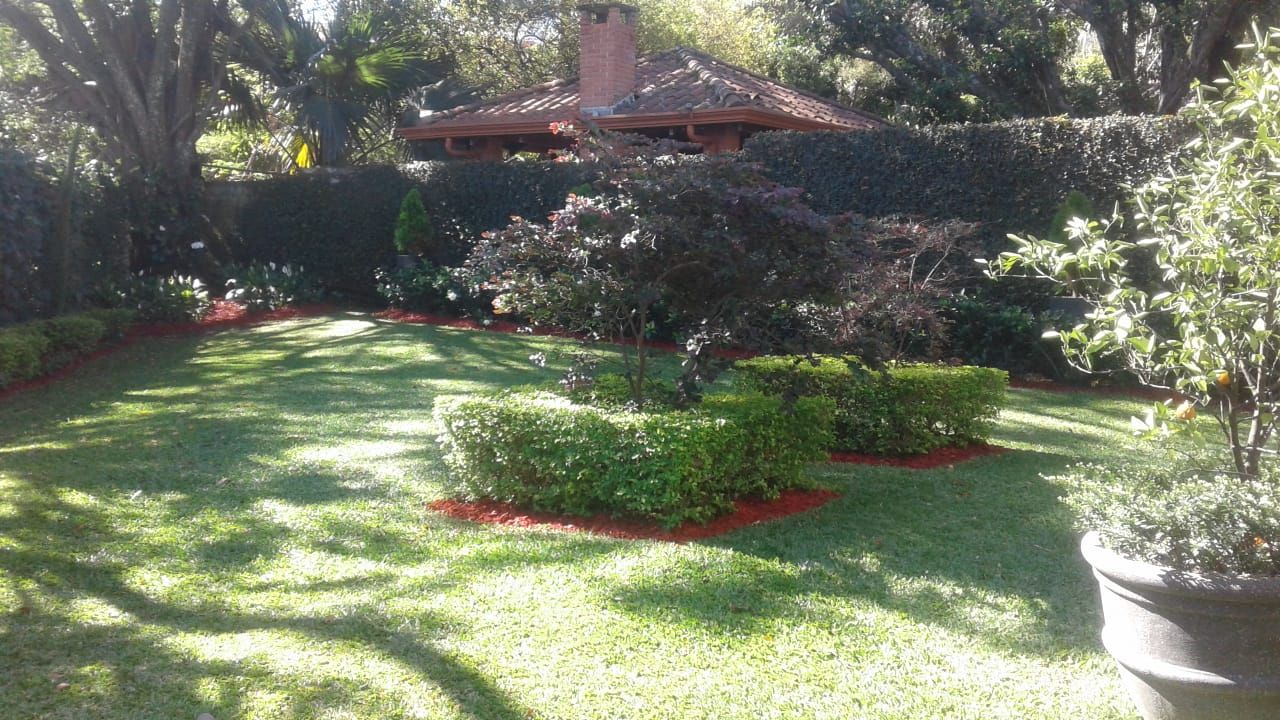 Jardín residencial con césped, setos podados y árboles