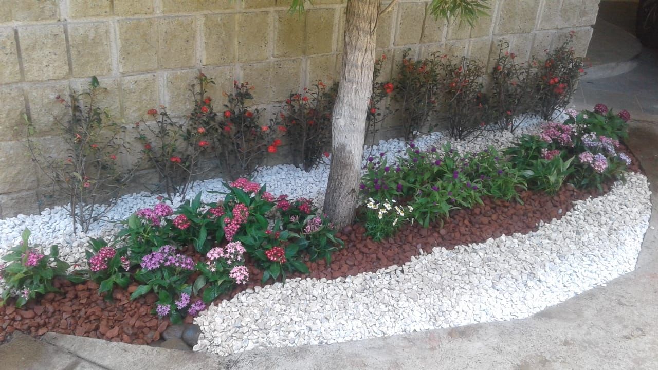 Jardinera con flores de colores, mulch y borde de piedra blanca