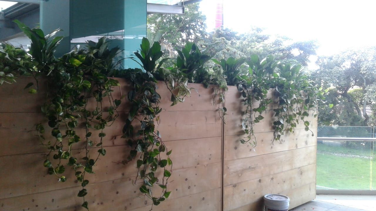 Jardinera de madera con plantas colgantes en una terraza