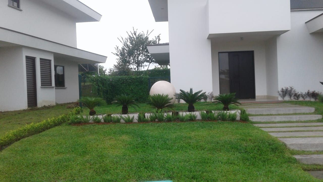 Jardín frontal de casa moderna con césped y plantas ornamentales