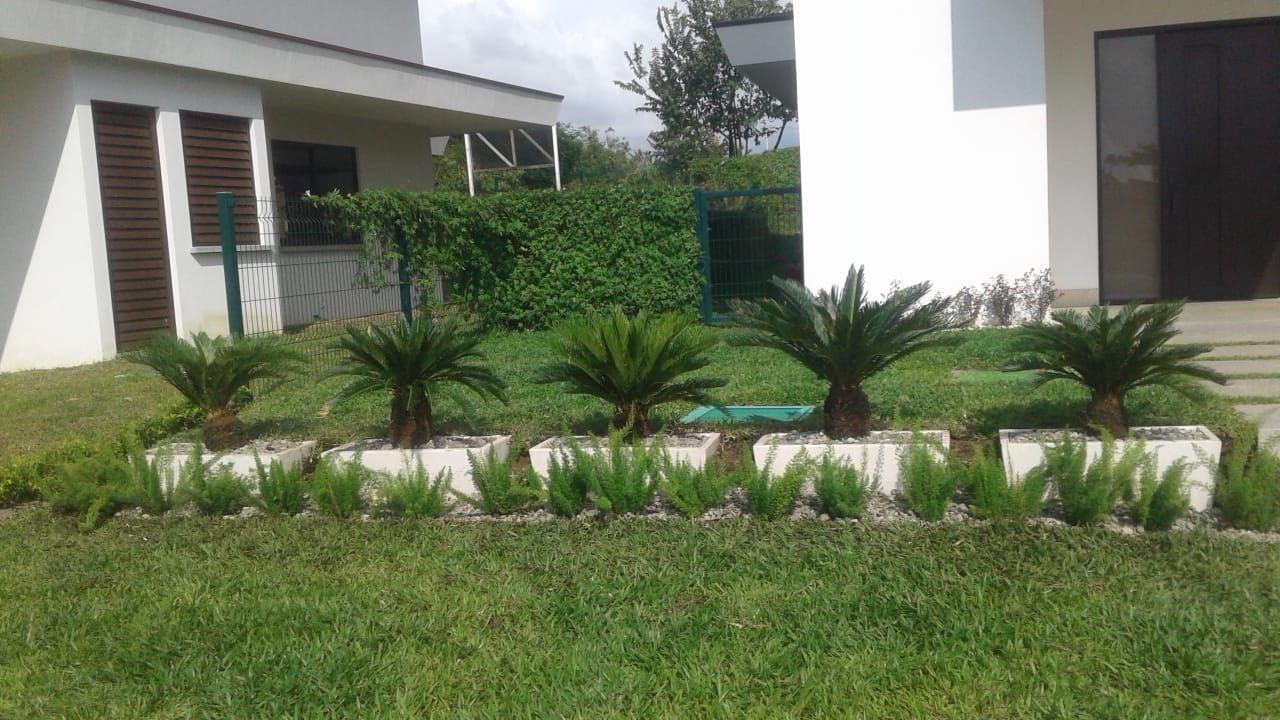 Jardín frontal de casa con cicas sembradas sobre borde decorativo